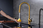 Paulmark UNIVERSAL Un213880-BG брашированное золото