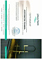 Paulmark SERPENTINE Se213222-BG брашированное золото