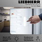 Liebherr Re 1000-20 001