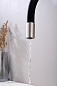 Paulmark SALIX Sa213419-BS брашированная сталь