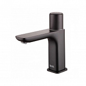 IDDIS Slide SLIBLBTi01