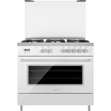 HIBERG FEG 950-25 MW