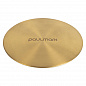 Paulmark NEXT-PRO 58 UNI PM705845-BG брашированное золото