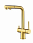 Paulmark SERPENTINE Se213222-BG брашированное золото