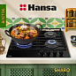 Hansa BHKS671830
