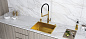 Paulmark NEXT-SKEW 58 UNI PM885844-BG брашированное золото