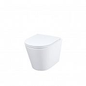 Унитаз IDDIS Calipso CALRNSEi25