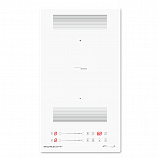 HOMSair HIC32BWH Inverter